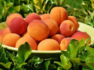 benefits of eating fruit everyday